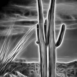 Glowing Pair by Kelley King