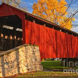 Gold Above The Poole Forge Covered Bridge by Adam Jewell