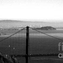 Golden Gate and Bay Bridges by Linda Woods