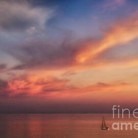 Good Morning Cape Cod by Susan Candelario