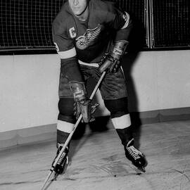 Gordie Howe Poster by Gianfranco Weiss