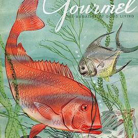 Gourmet Cover Featuring A Snapper And Pompano by Henry Stahlhut