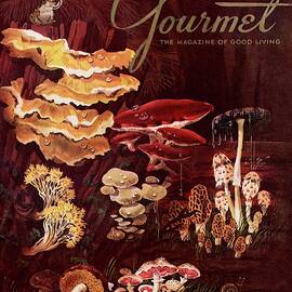 Gourmet Cover Featuring Wild Mushrooms by Henry Stahlhut