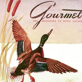 Gourmet Cover Of A Goose by Henry Stahlhut