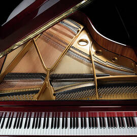 Grand Piano Overview, Keyboard by Dszc