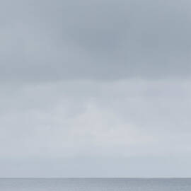 Great Blue Heron by Rob Atkins