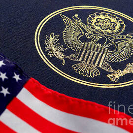 Great Seal of the United States and American Flag by Olivier Le Queinec