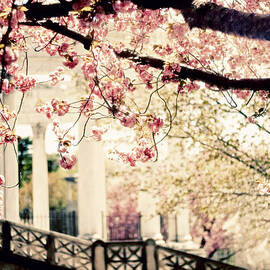 Grecian Spring by Jessica Jenney