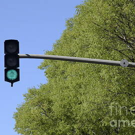 Green traffic light by trees by Sami Sarkis Photography