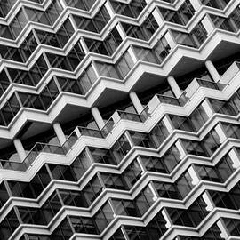 Grid Lines by Louis Dallara