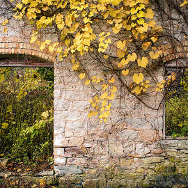 Growth Industry by Duluth To Door County Photography