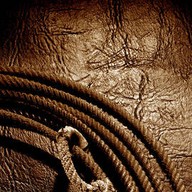 Grunge Lasso on Leather by Olivier Le Queinec