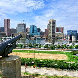 Guarding Baltimore by Olivier Le Queinec