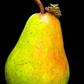 Guest A-pear-ance by Jean Noren
