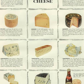 Guinness Guide to Cheese by Georgia Clare