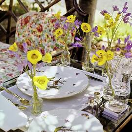 Hale's Outdoor Dining Table by Horst P. Horst