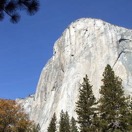 Half Dome Yosemite by Richard Reeve