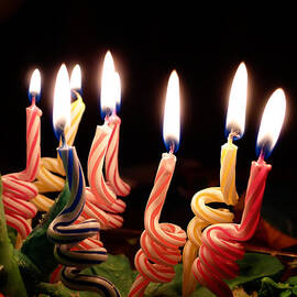 Happy Birthday Curly by Richard Reeve