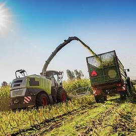 Harvesting In Field by Simonkr
