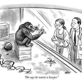 He Says He Wants A Lawyer by Tom Chalkle