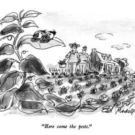 Here Come The Pests by Frank Modell