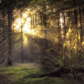 Hidden Path by Kype Hills