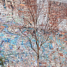 High Line Palimpsest by Rona Black