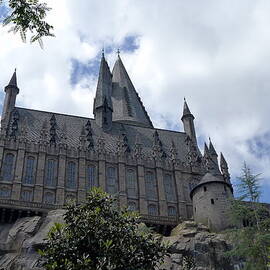 Hogwarts School by Richard Reeve