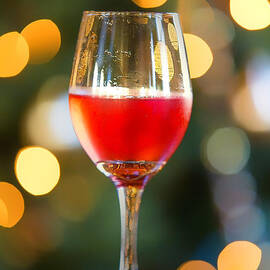 Holiday Spirits by Bill and Linda Tiepelman