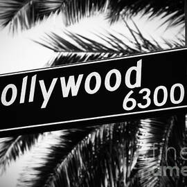 Hollywood Boulevard Street Sign in Black and White by Paul Velgos