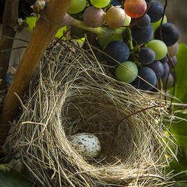 Home Alone by Jean Noren