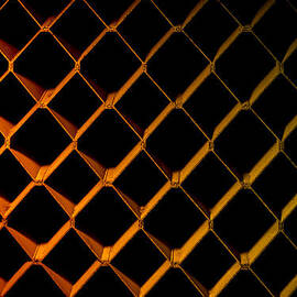 Honeycomb by David Morefield