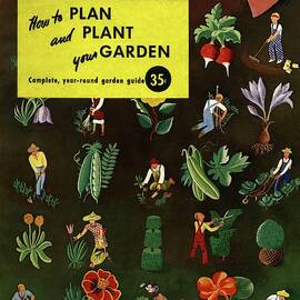 House And Garden How To Plan And Plant by Ilonka Karasz