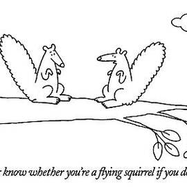 How Will You Ever Know Whether You're A Flying by Charles Barsotti