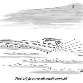 How's This For A Romantic Moonlit Interlude? by Jack Ziegler