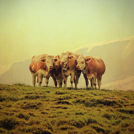 Huddle by By Sigi Kolbe