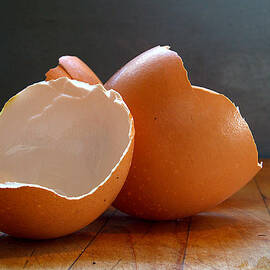 Humpty by Joe Schofield