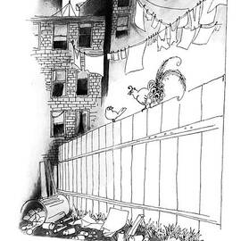 I Am A Bird Of Paradise by Richard Oldden