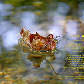 I am an Artist by Richard Reeve