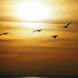 I Believe It Was This Way by Joe Schofield