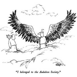 I Belonged To The Audubon Society by Robert Weber