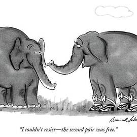 I Couldn't Resist - The Second Pair Was Free by Bernard Schoenbaum