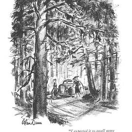 I Expected It To Smell More Like Elizabeth by Alan Dunn