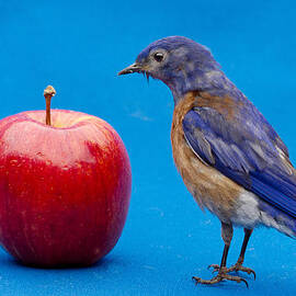 I would rather see the doctor by Jean Noren