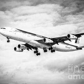 Iberia Airlines Airbus A340 Airplane in Black and White by Paul Velgos