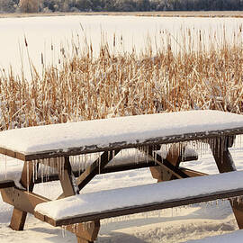 Ice And Snow After A Winter Storm by Louise Heusinkveld
