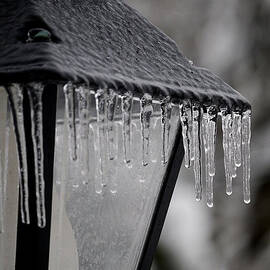 Icicles - Lamp Post 3 by Richard Reeve