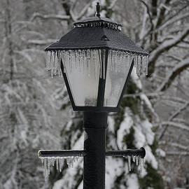 Icicles - Lamp Post 1 by Richard Reeve