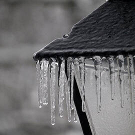 Icicles - Lamp Post 2 by Richard Reeve