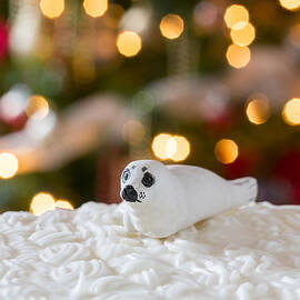 Icing on Christmas cake with tree lights by Steven Heap